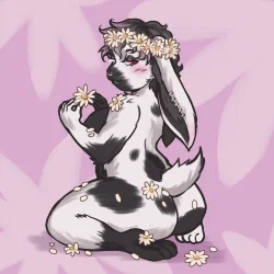 Nary's Spring Daisies YCH